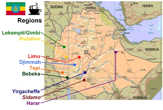 Etiopie - regiony pěstování kávy